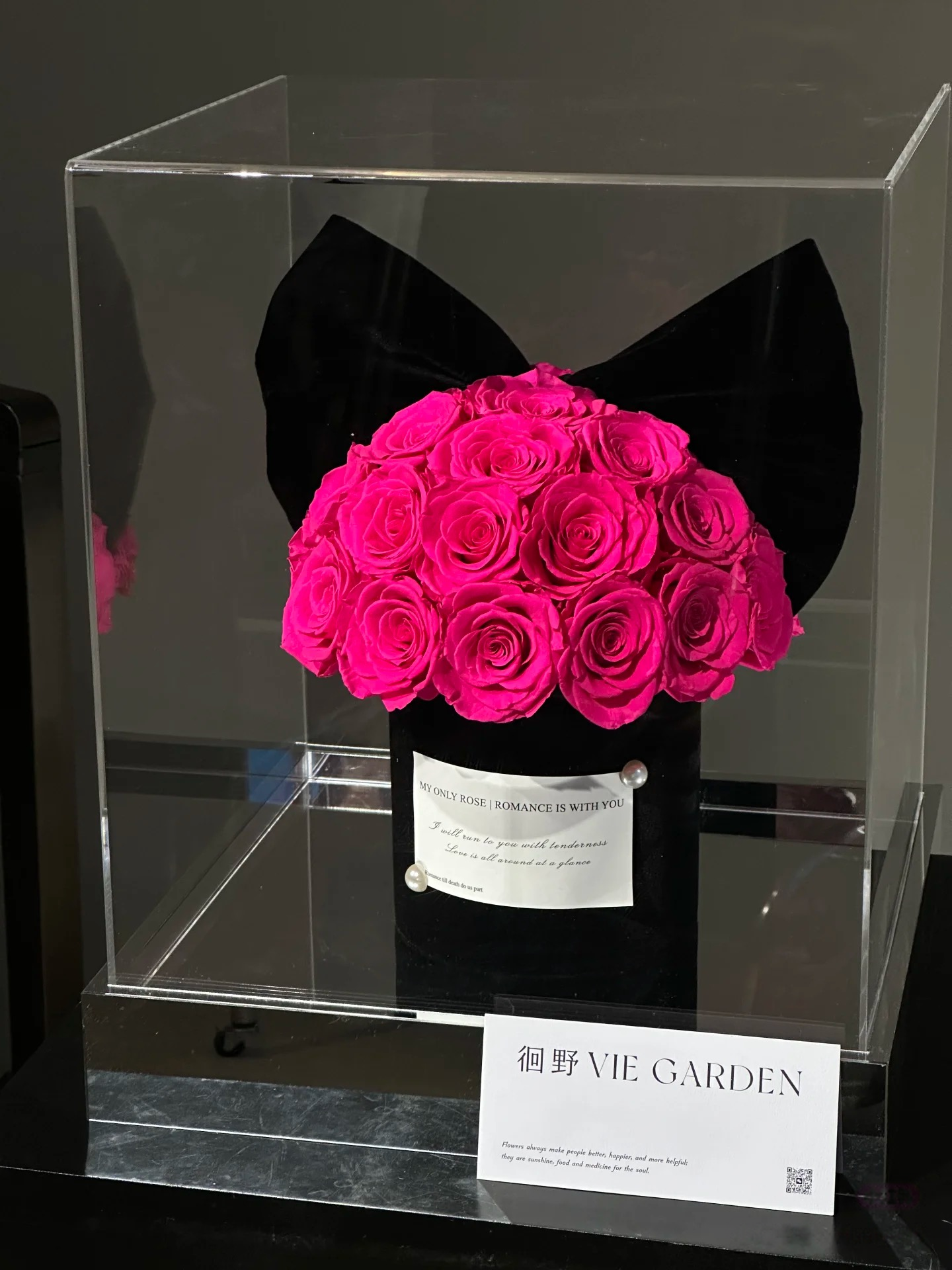 ROSAY Eternal Bow Rose - Preserved Rose in Acrylic Box with Bow/Ear Accent | Multi-Color Luxury Gift for Romance & Decor