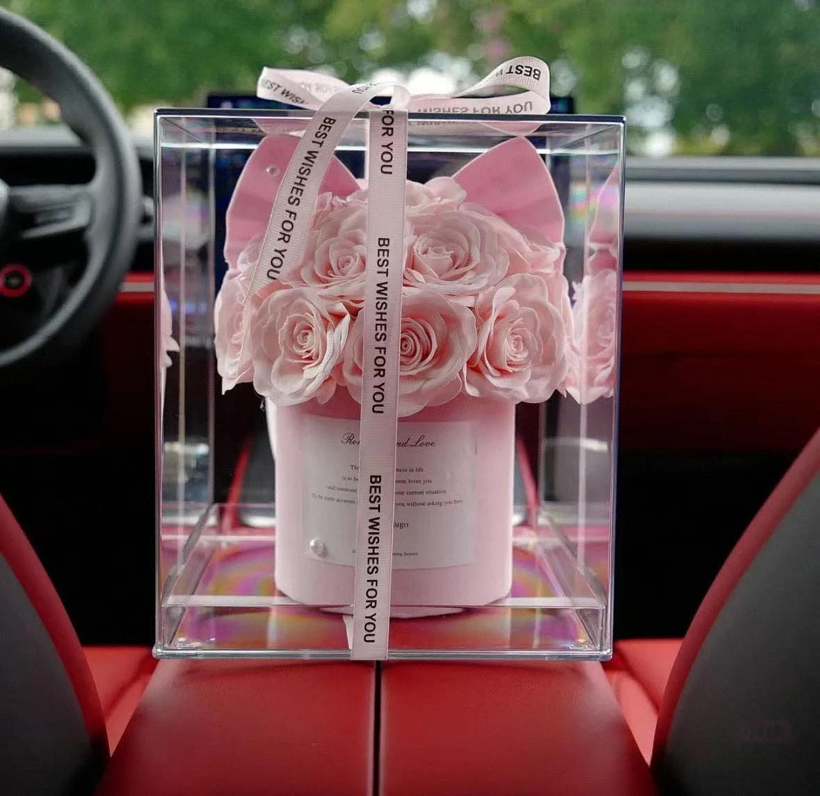 ROSAY Eternal Bow Rose - Preserved Rose in Acrylic Box with Bow/Ear Accent | Multi-Color Luxury Gift for Romance & Decor