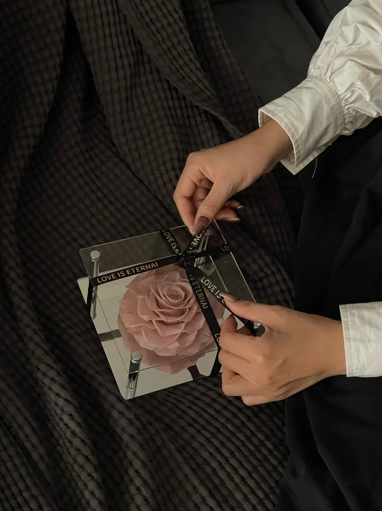 Eternal Love Bloom - Single Preserved Rose in Acrylic Box with "Love is Eternal" Ribbon | Multi-Color Romantic Gift for Anniversaries & Valentine's Day