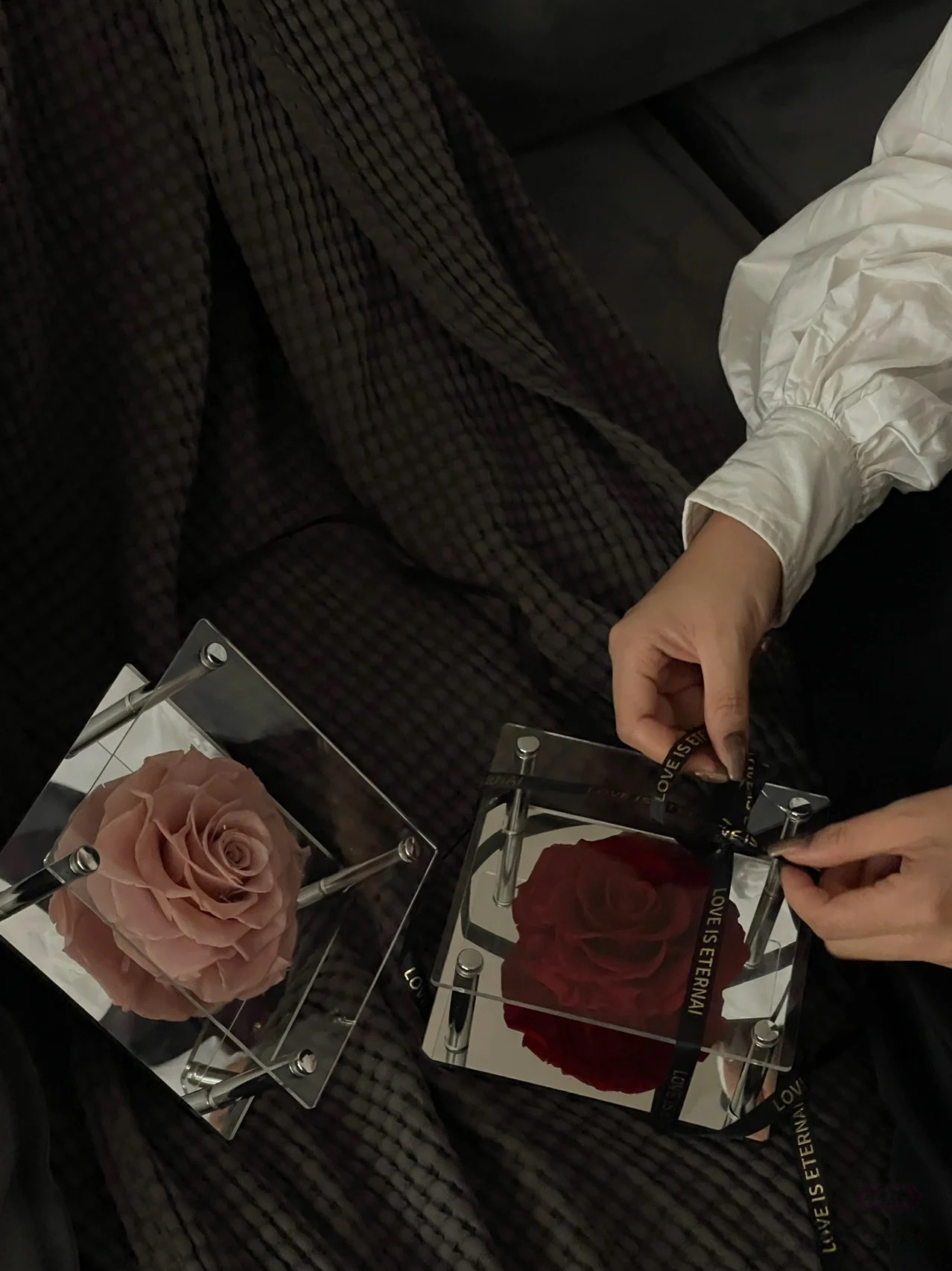 Eternal Love Bloom - Single Preserved Rose in Acrylic Box with "Love is Eternal" Ribbon | Multi-Color Romantic Gift for Anniversaries & Valentine's Day