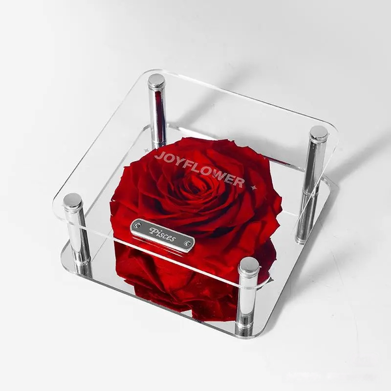 ROSAY Eternal Zodiac Rose - Preserved Rose in Acrylic Box with Zodiac Plaque | Luxury Constellation Gift for Birthdays & Astrology Lovers
