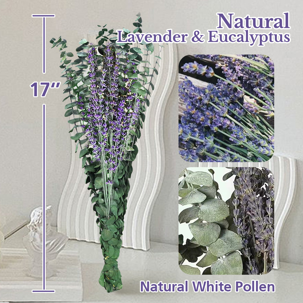 Large 10 PCS Preserved  Eucalyptus And Lavender Stems for Home Decor