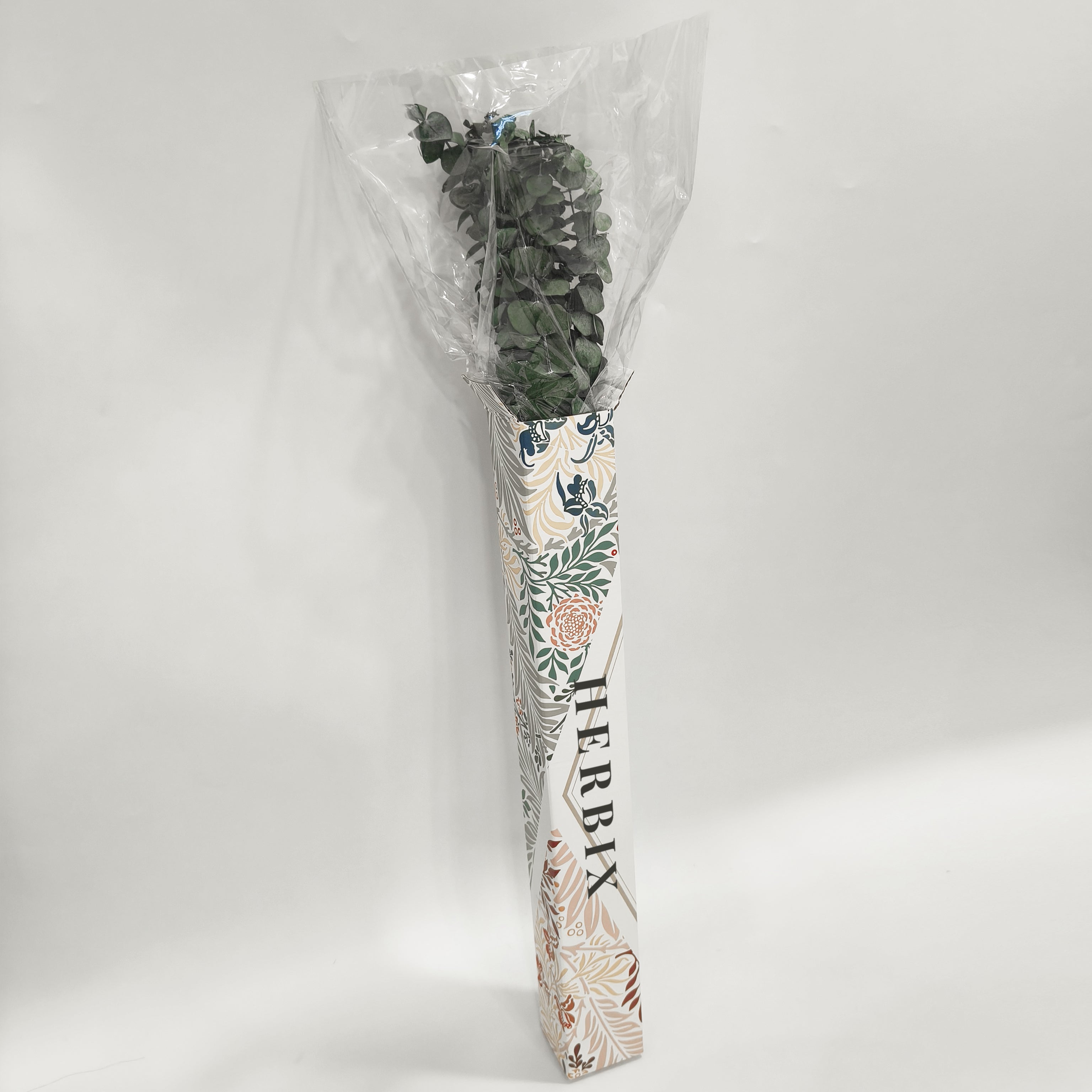 Large 10 PCS Preserved  Eucalyptus Stems for Home Decor