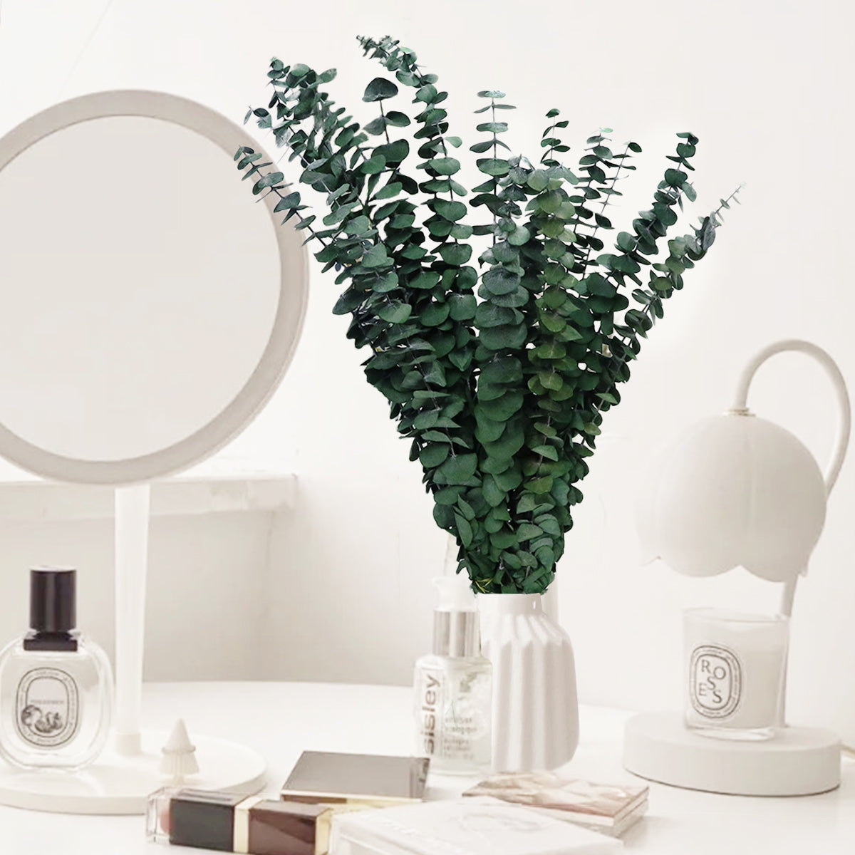 Large 10 PCS Preserved  Eucalyptus Stems for Home Decor