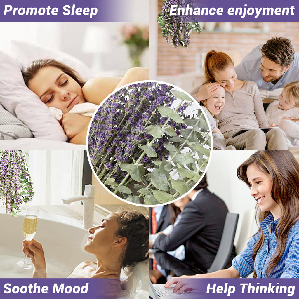 Large 10 PCS Preserved  Eucalyptus And Lavender Stems for Home Decor