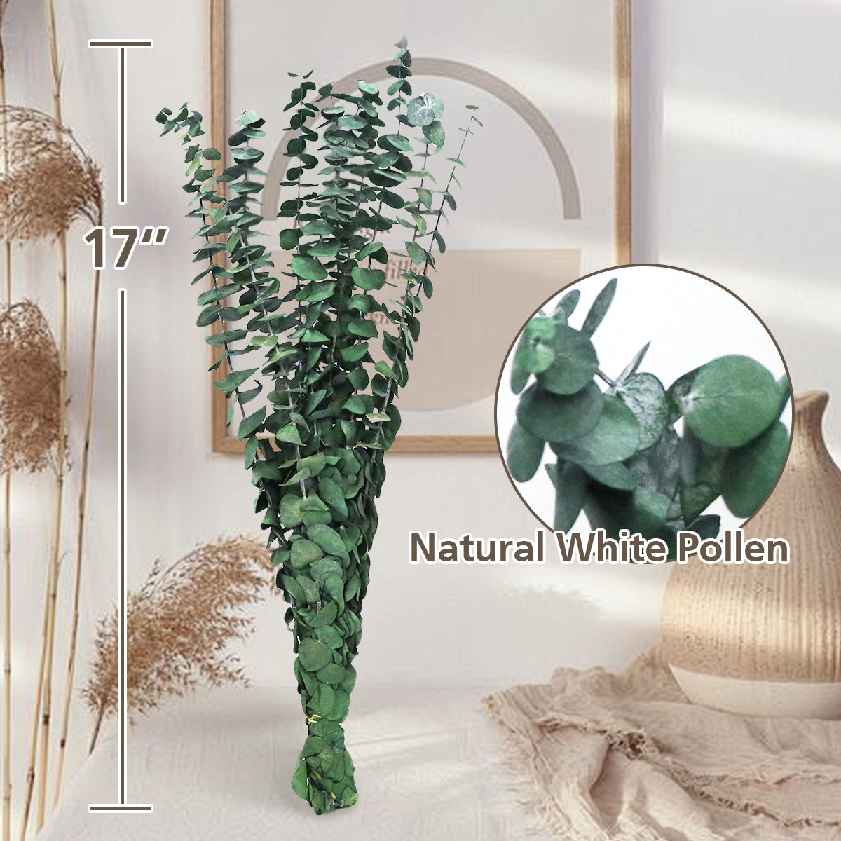 Large 10 PCS Preserved  Eucalyptus Stems for Home Decor