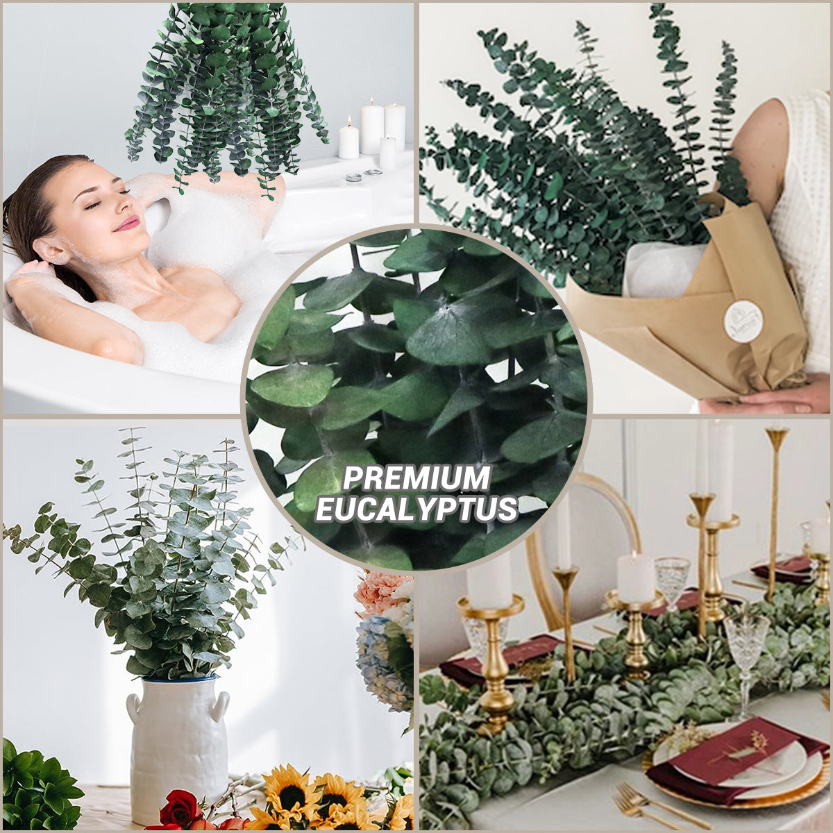 Large 10 PCS Preserved  Eucalyptus Stems for Home Decor