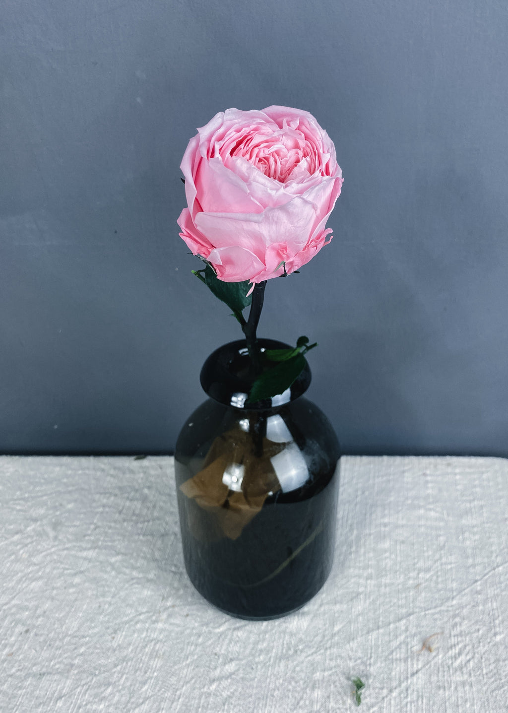 Preserved peony - pink